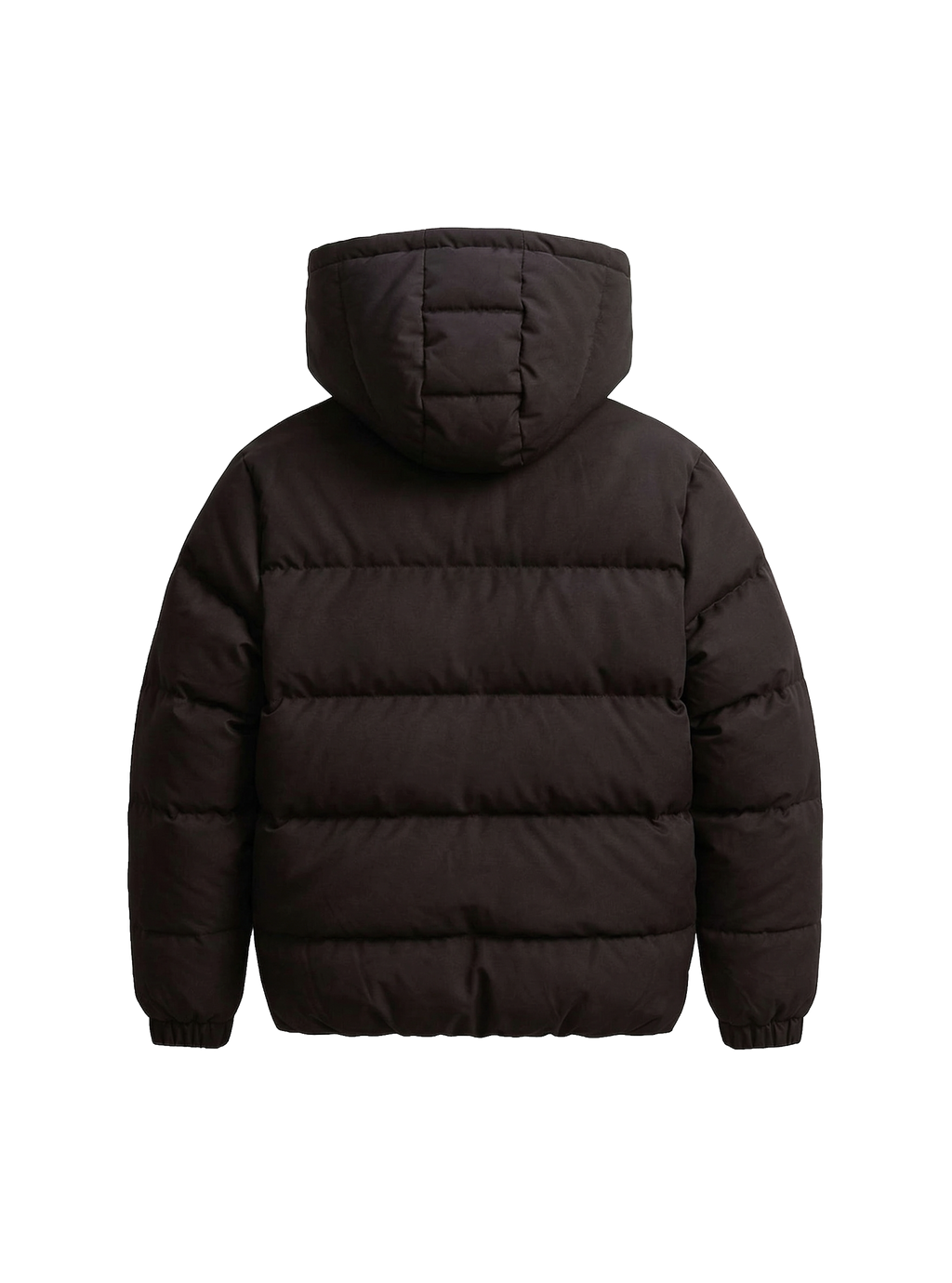 Spring Chameleon Jacket
