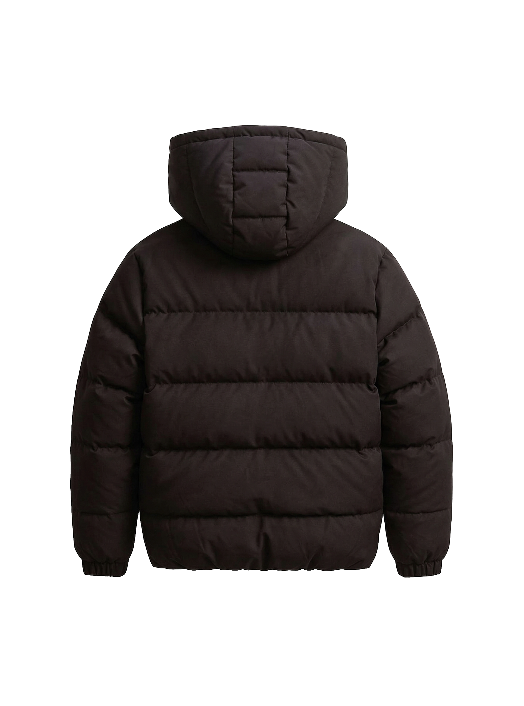 Spring Chameleon Jacket